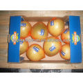 Zitrusfrucht vietnam Grapefruit Pomelo Preis